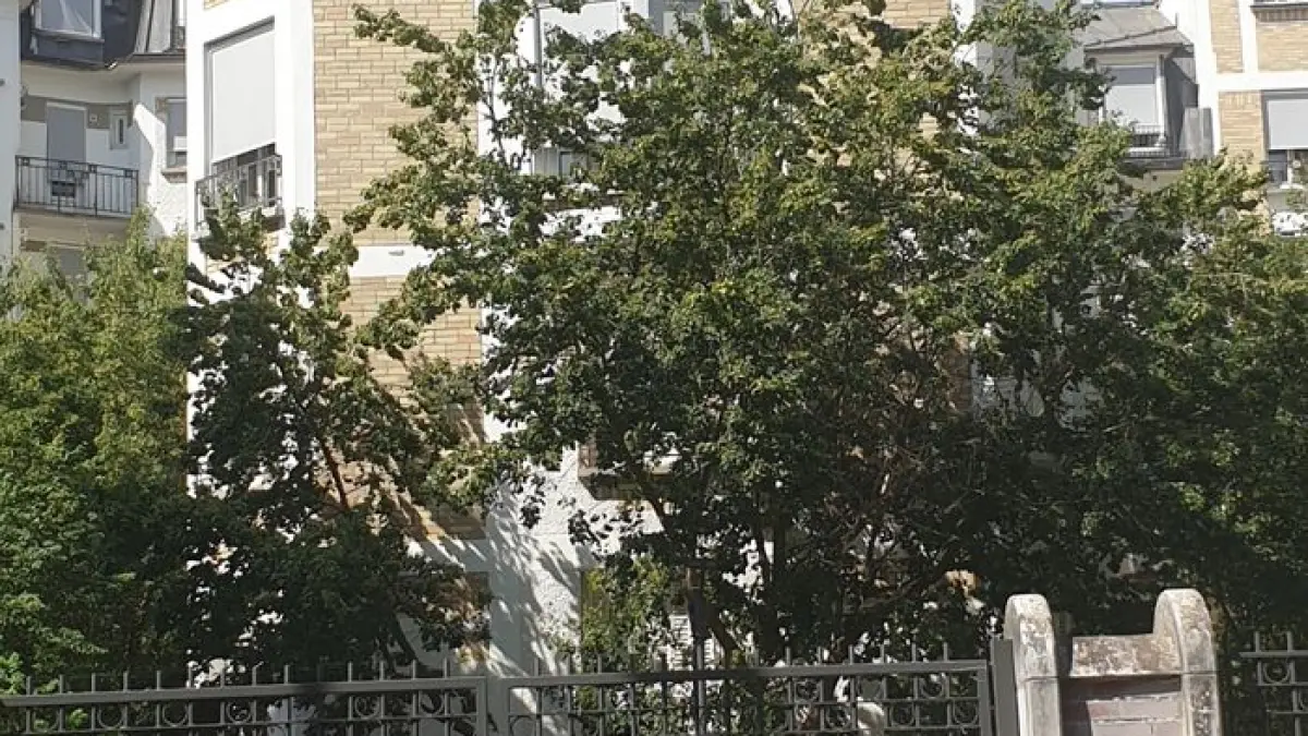 Promenades architecturales et urbaines : Les HBM de brique de Paris Habitat de la Porte de Montmartre - Paris 18e