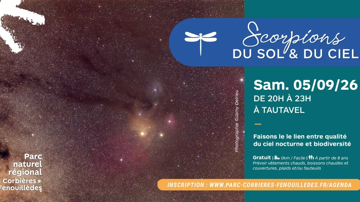 SCORPIONS DU SOL ET DU CIEL, SORTIE NOCTURNE