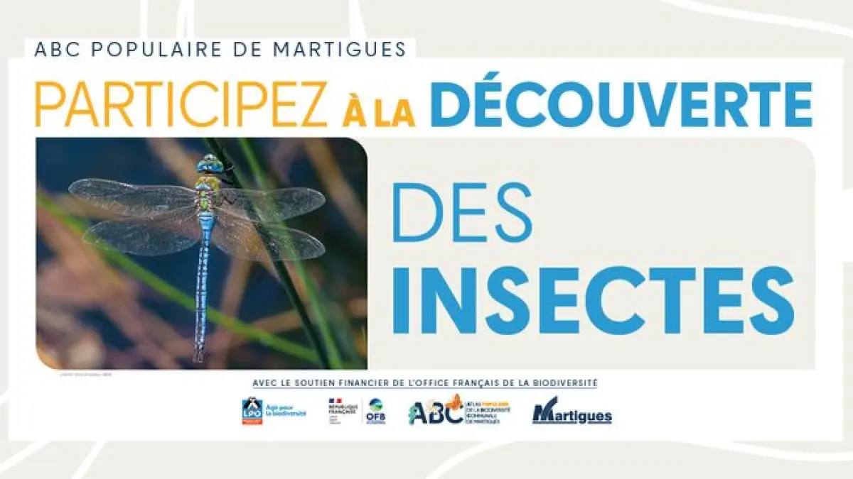 Atlas populaire de la Biodiversité Communale : " Découverte des insectes "