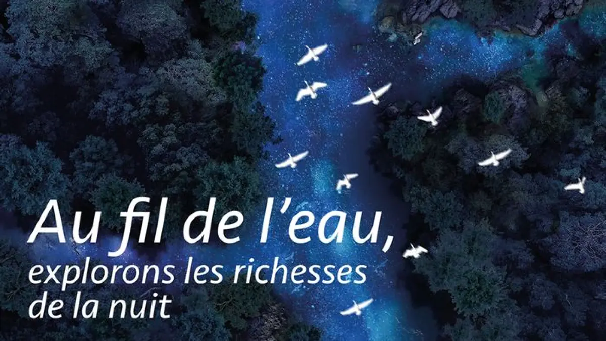 La Nuit est belle