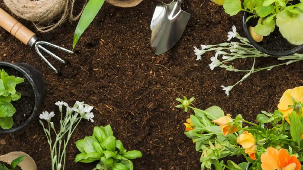 Des solutions faciles et naturelles pour mon jardin, c’est possible !